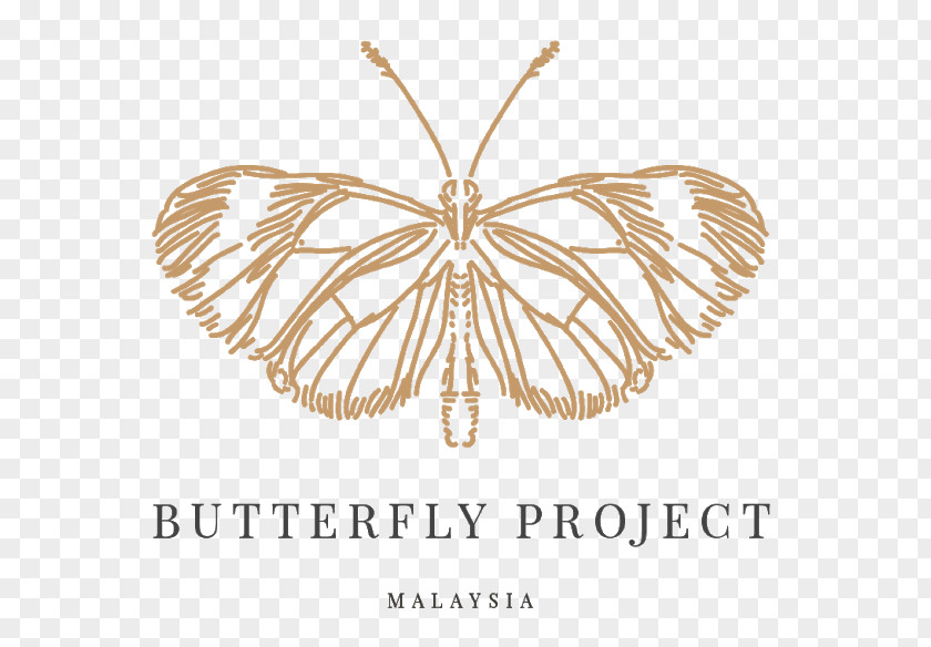 Butterfly Malaysia Insect Project Hello Butterflies! PNG