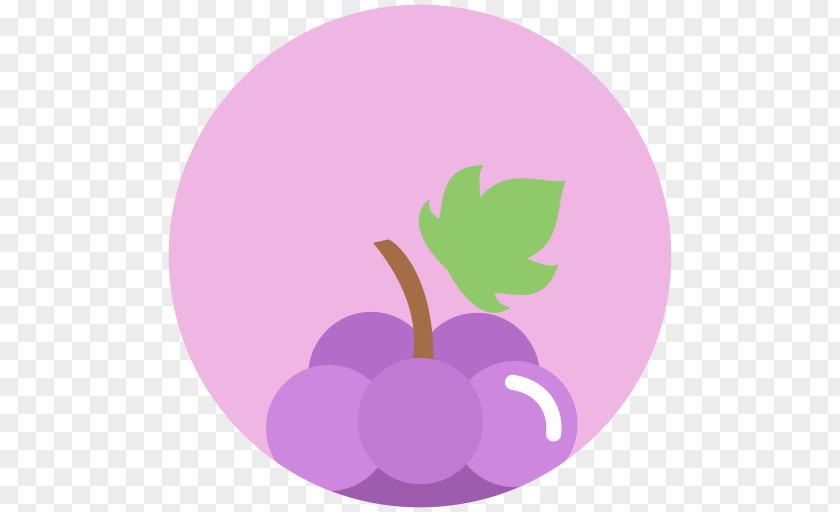 Grape Fruit Common Vine Berry PNG