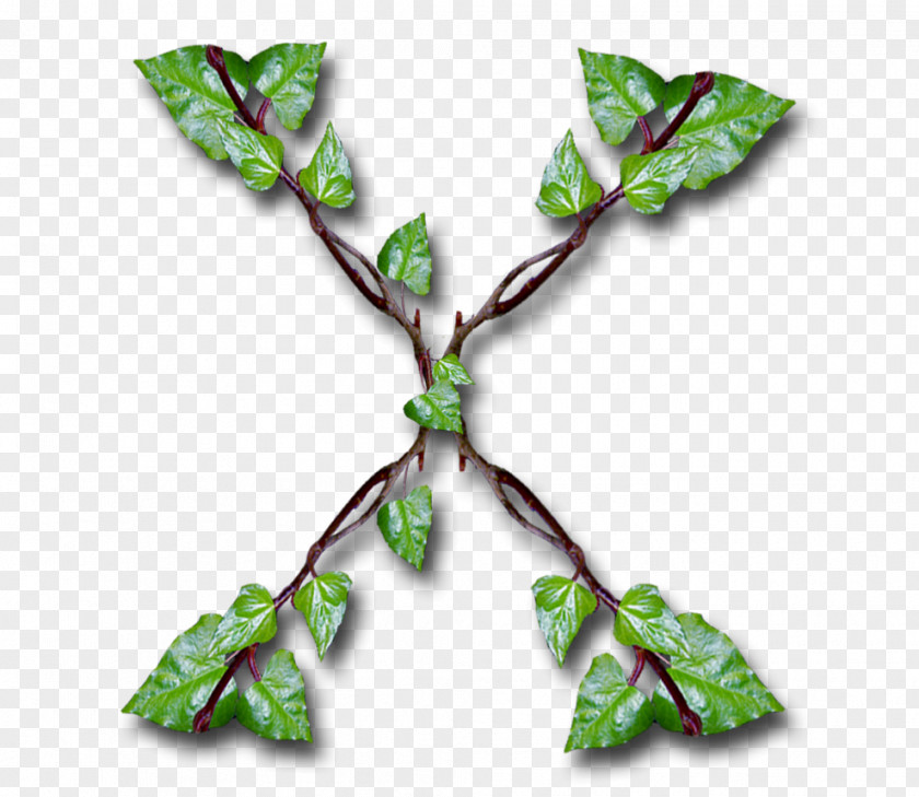 Ivy Alphabet Inc. YouTube Letter Google PNG