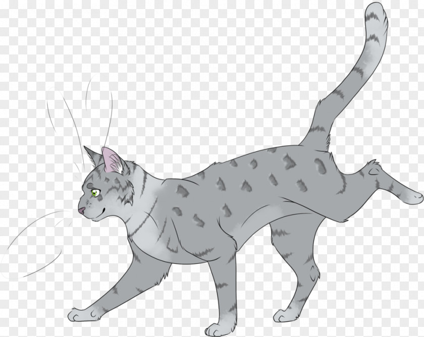 Kitten Whiskers Forest Of Secrets Cat Into The Wild PNG