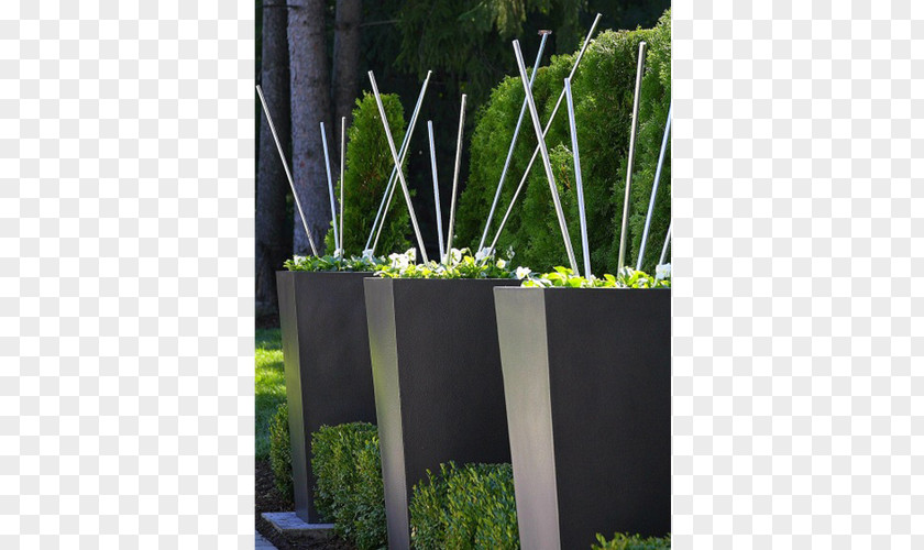 Modern Square Grasses Herb Rectangle Tree Family PNG