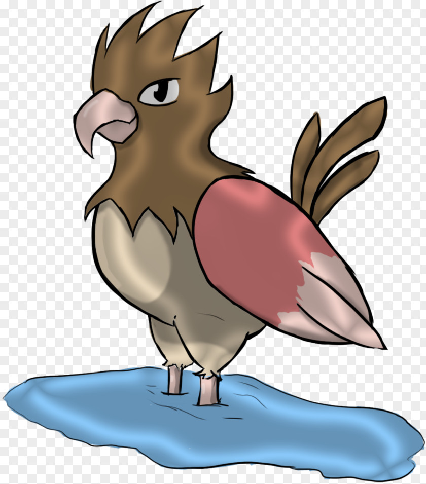 Spearow Rooster Beak Tail Clip Art PNG