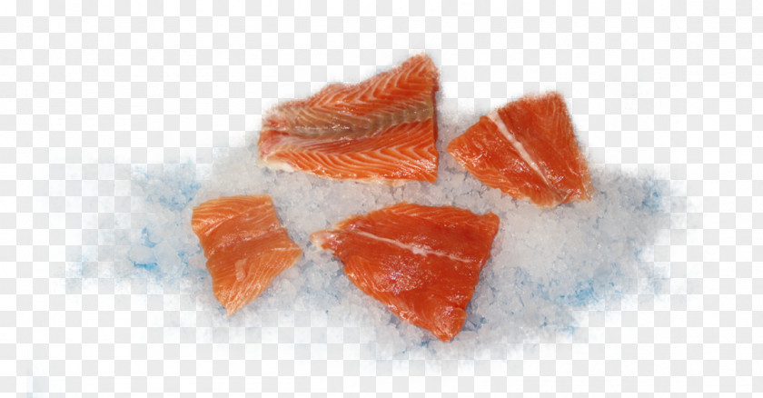Bits And Pieces Atlantic Cod Salmon Fish Baltic Sea PNG