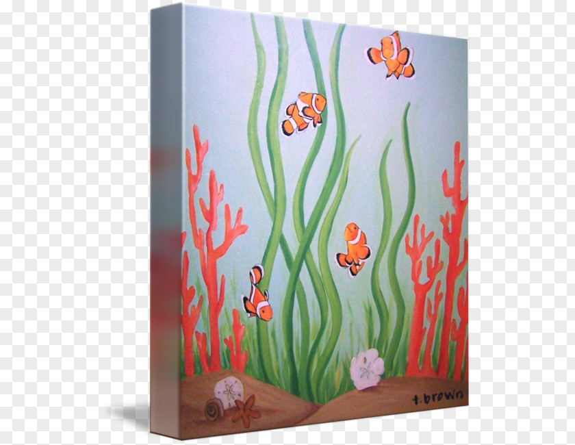 Clown Fish Coral Reef Jellyfish Clownfish PNG