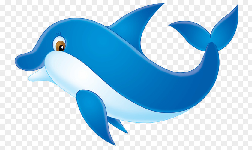 Dolphin Drawing Photography Royalty-free PNG