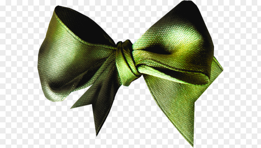 Green Bow Tie Shoelace Knot Butterfly PNG