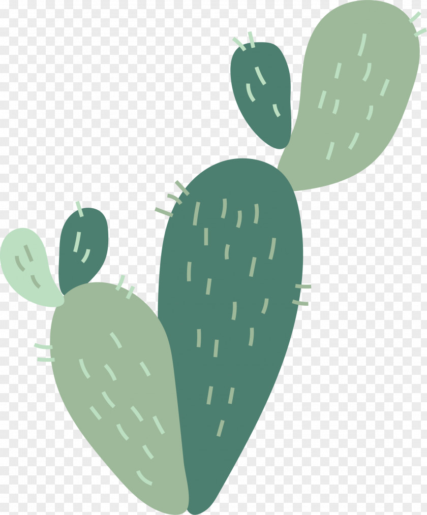 Love Green Cactus Cactaceae Nopal PNG
