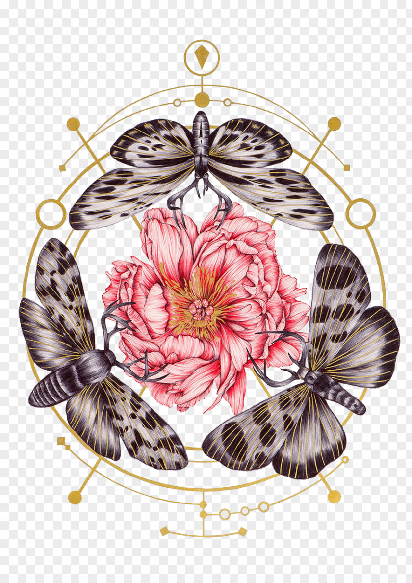 Moths And Flowers PNG