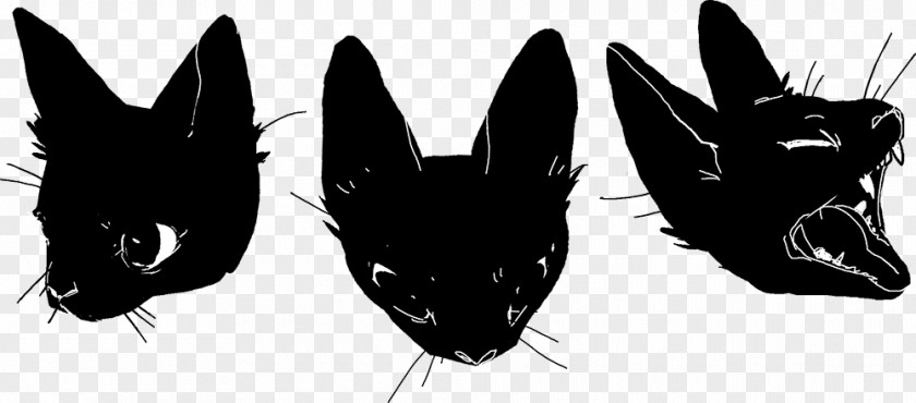 Cat Black Kitten PNG