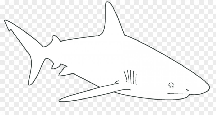 Great White Shark Stencil Template Blue Finning PNG
