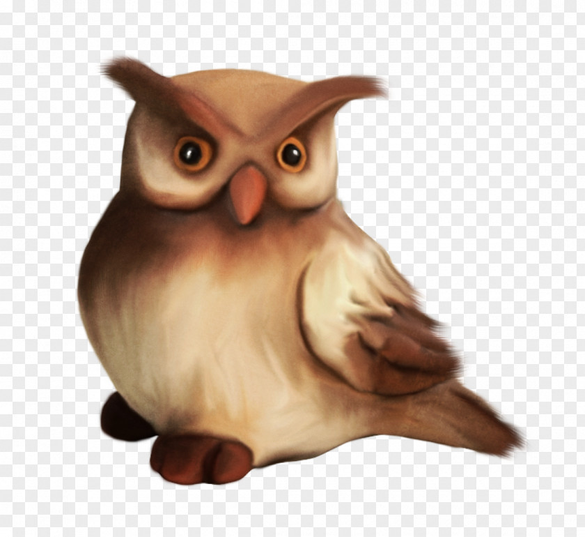 Owl Little Drawing PNG
