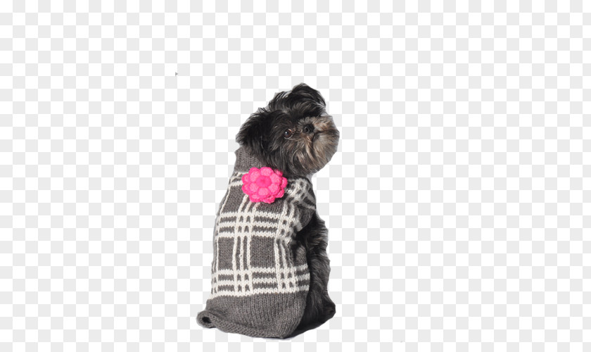100 Percent Fresh Schnoodle Affenpinscher Puppy Dog Breed Clothing PNG