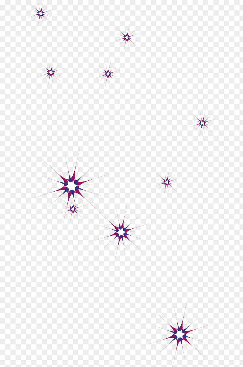 Cool Purple Stars Petal Pattern PNG
