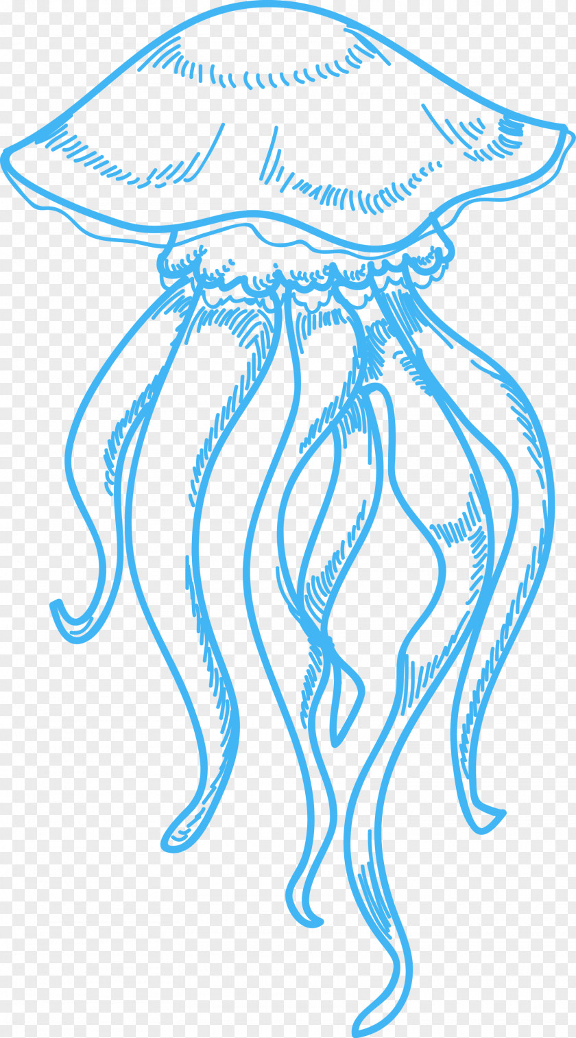 Jellyfish Drawing Sea Clip Art PNG