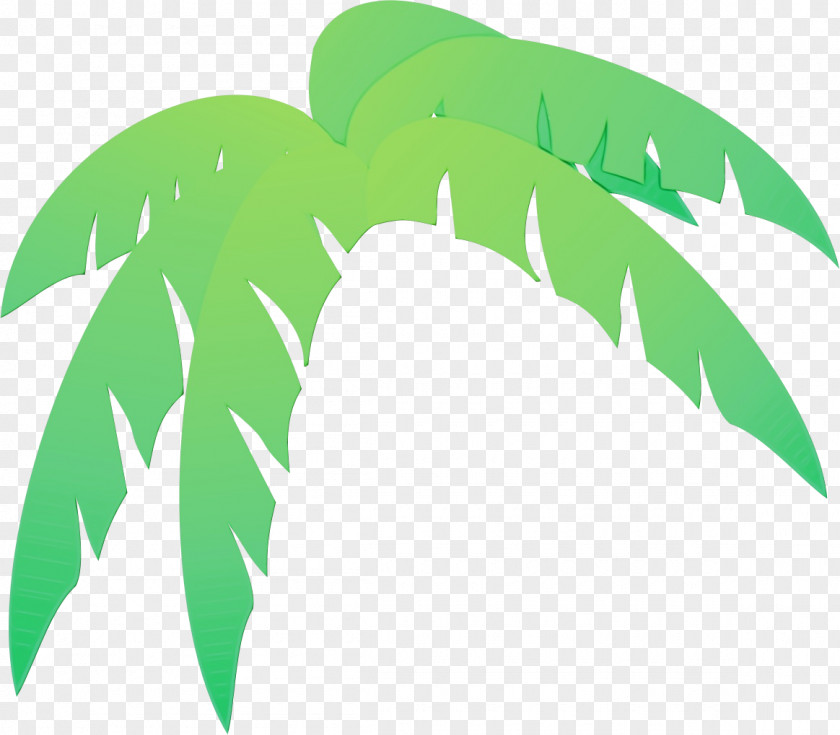 Logo Flower Palm Tree Leaf PNG