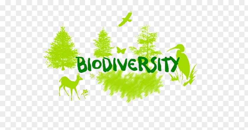 Natural Environment Biodiversity Loss Convention On Biological Diversity Science PNG