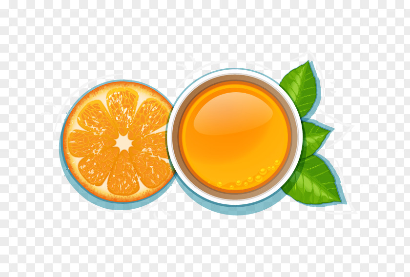 Orange Juice Euclidean Vector PNG