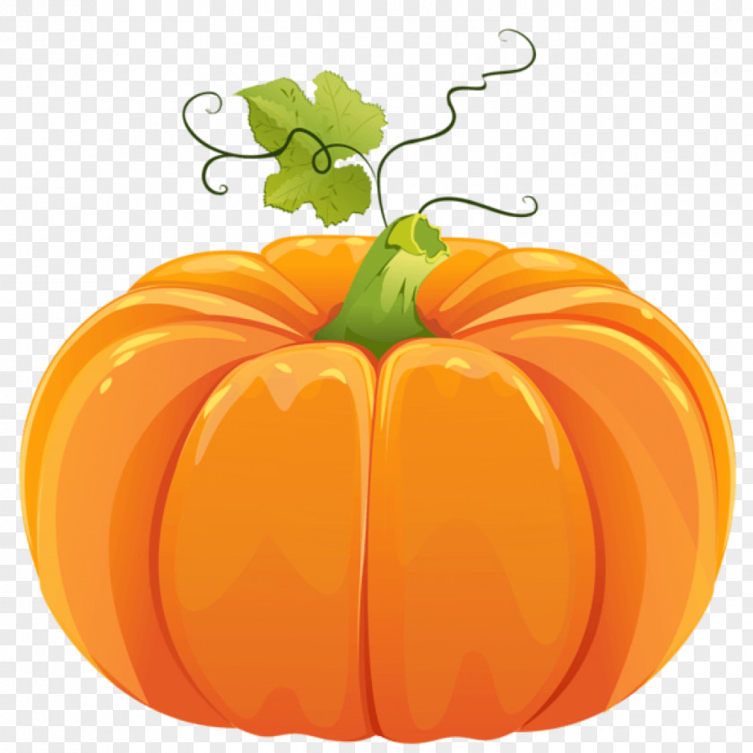 Pumpkin Pie Clip Art Field Openclipart PNG