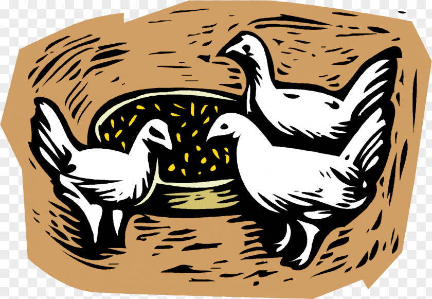 Bird Wildlife Medicine Cartoon PNG