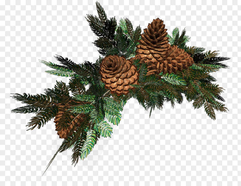 Christmas New Year Tree Ded Moroz Holiday PNG