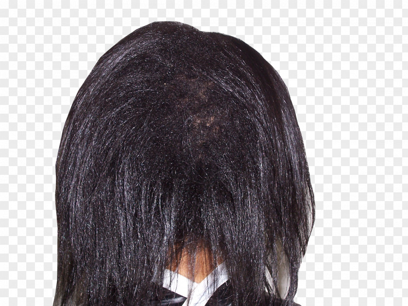 Ladies Crown Wig Homo Sapiens PNG