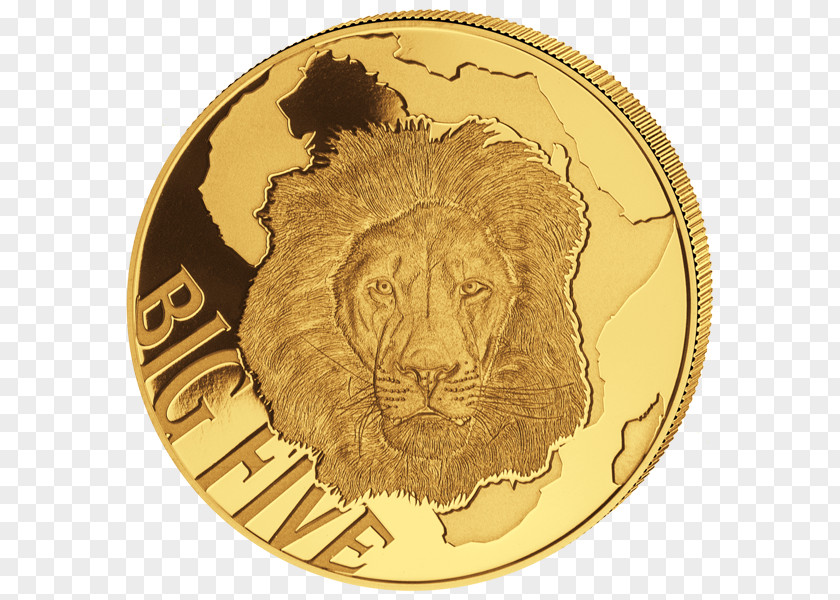 Lion Big Five Game Leopard Cameroon Coin PNG