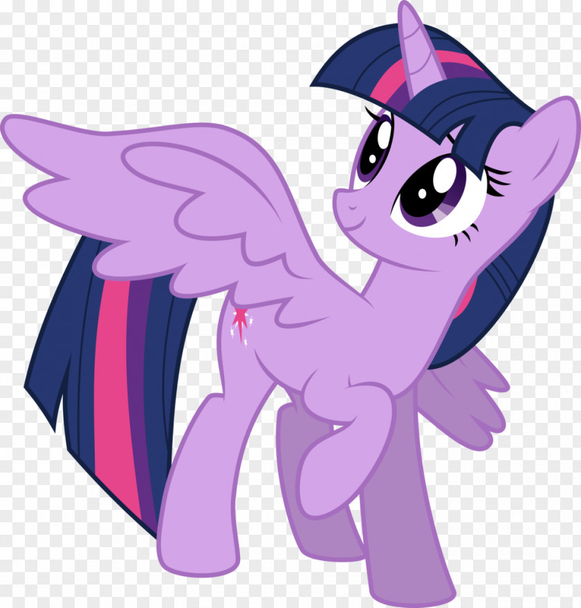 My Little Pony Twilight Sparkle Rarity Princess Celestia Rainbow Dash PNG