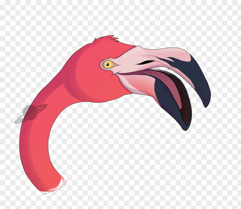 Pink Flamingo Blog Beak Tumblr Furry Fandom Water Bird PNG