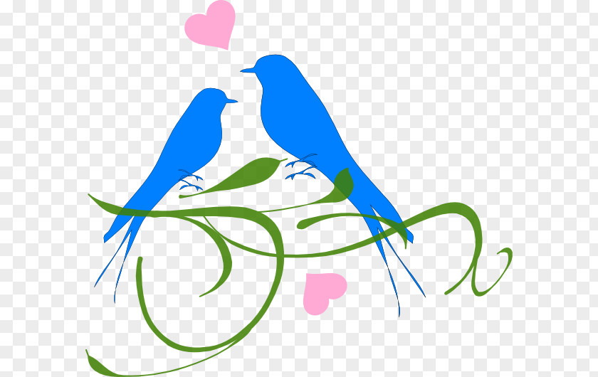 Tie Branch Chaos Lovebird Clip Art PNG