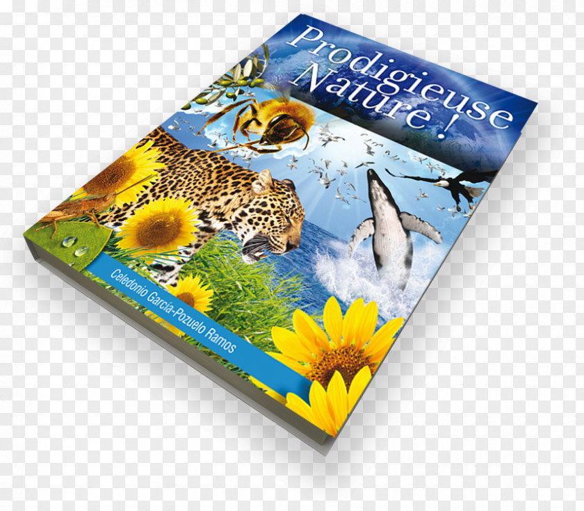Book Nature Flora Bible Science PNG