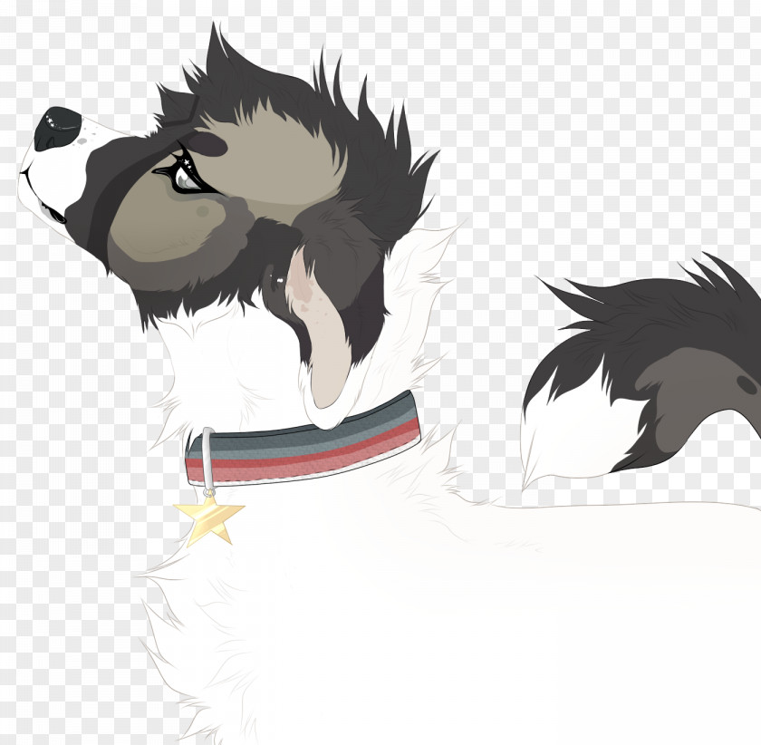 Cat Horse Dog Canidae PNG