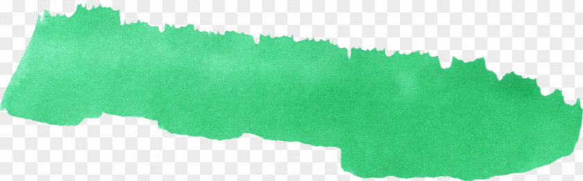 Green Watercolor Brush Painting PNG