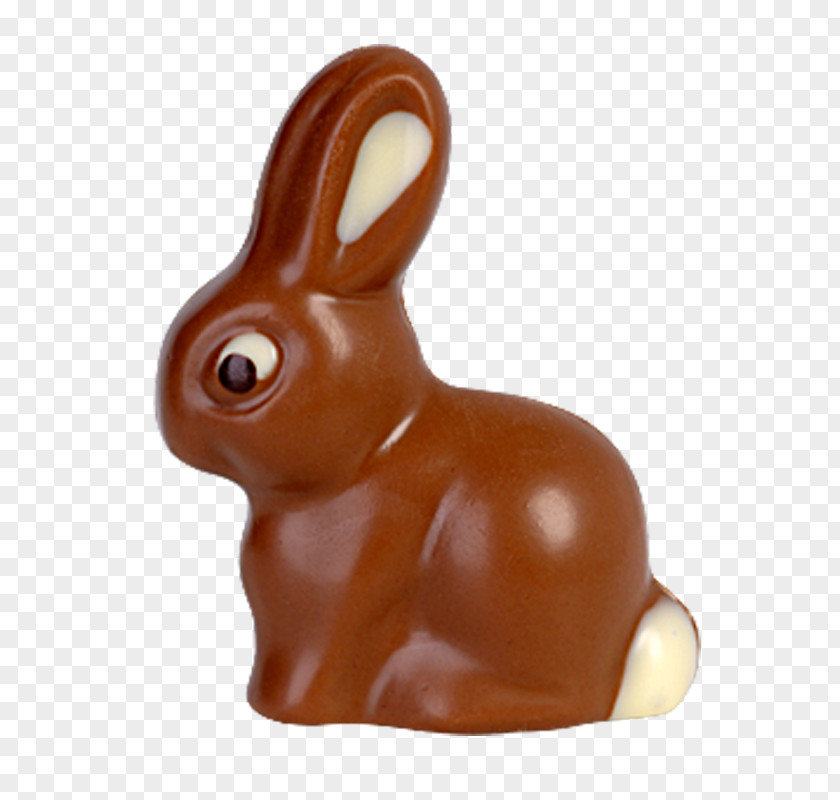 Henne Domestic Rabbit Easter Bunny Hare PNG