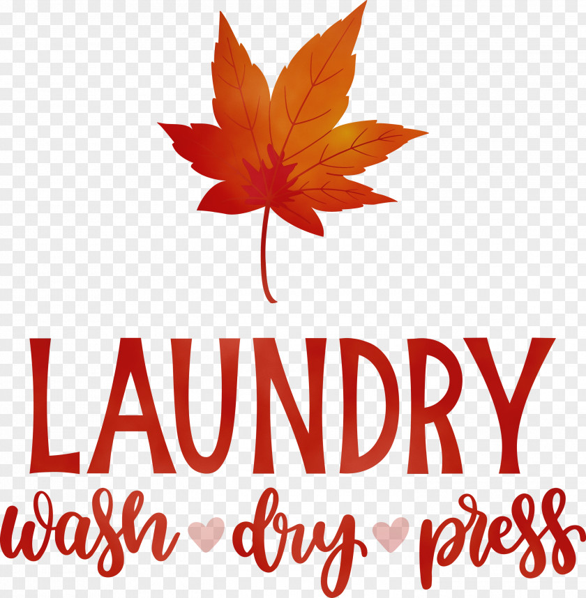 Laundry Washing Wall Decal Room PNG