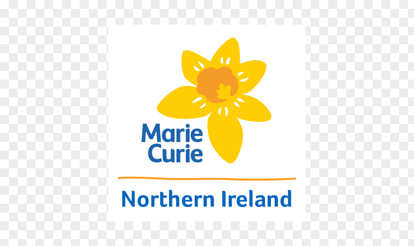 Northern Ireland Executive Marie Curie's Blooming Great Tea Party Daffodil Appeal Terminal Illness Research PNG