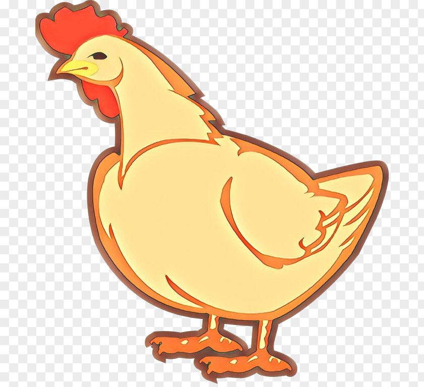 Poultry Livestock Orange PNG