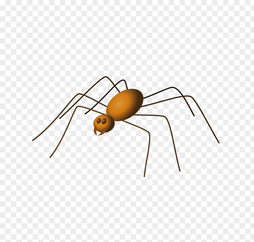 Spider Arachne Clip Art PNG