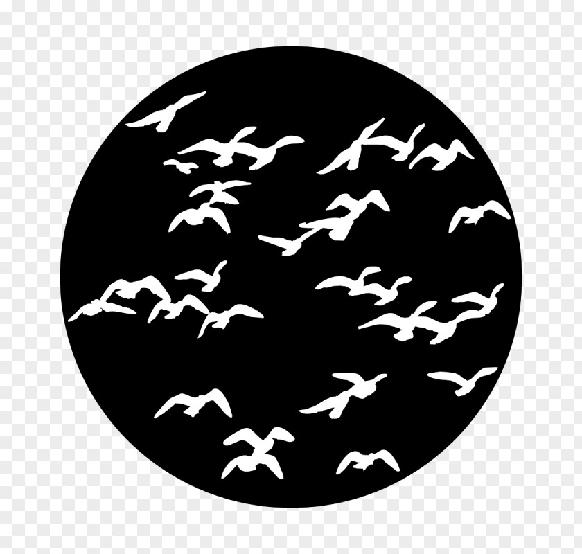 Stagecraft Graphic Bird Gobo Flock Design Stage Lighting PNG