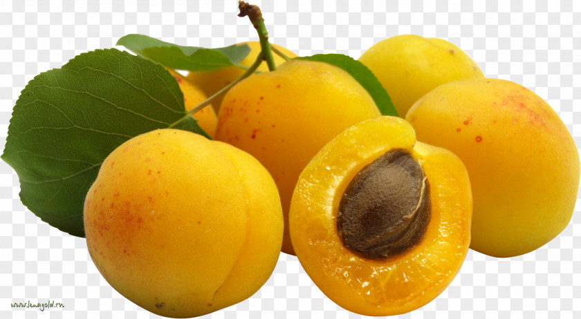 Apricot Food Fruit Nectarine PNG