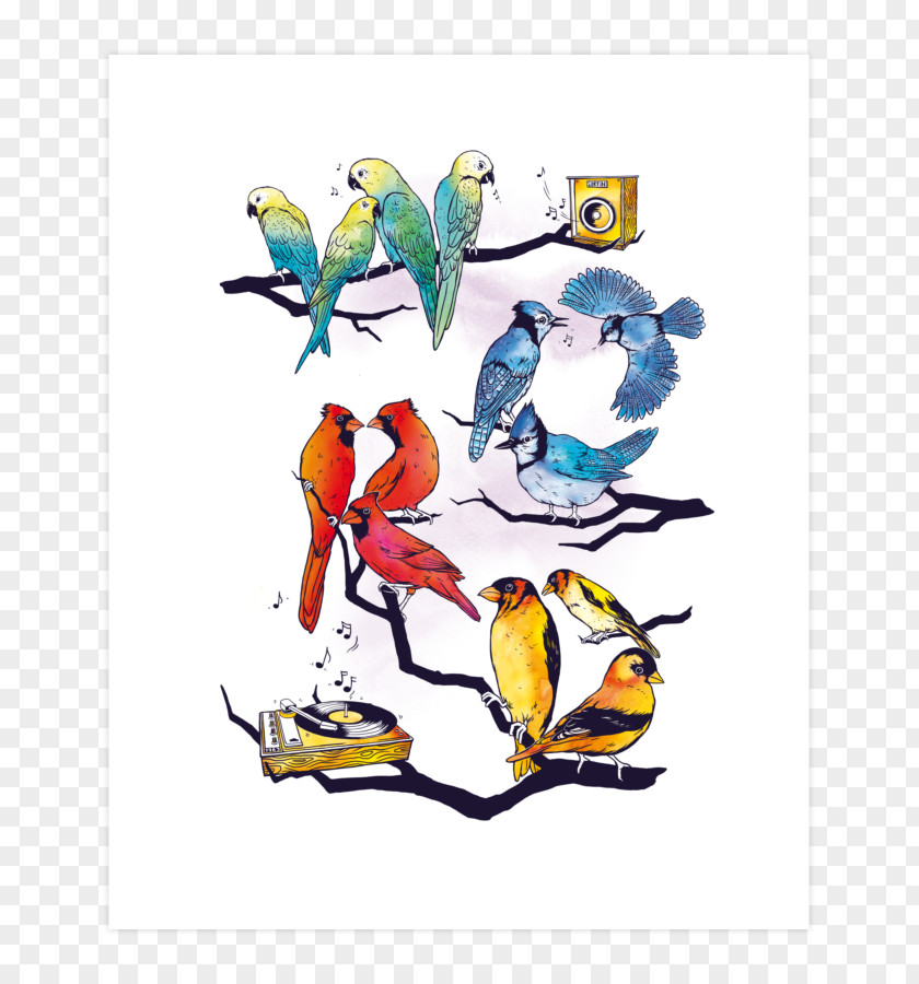 Bird Beak Graphic Design Clip Art PNG