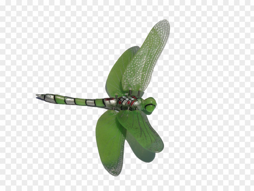 Dragonfly Download Clip Art PNG