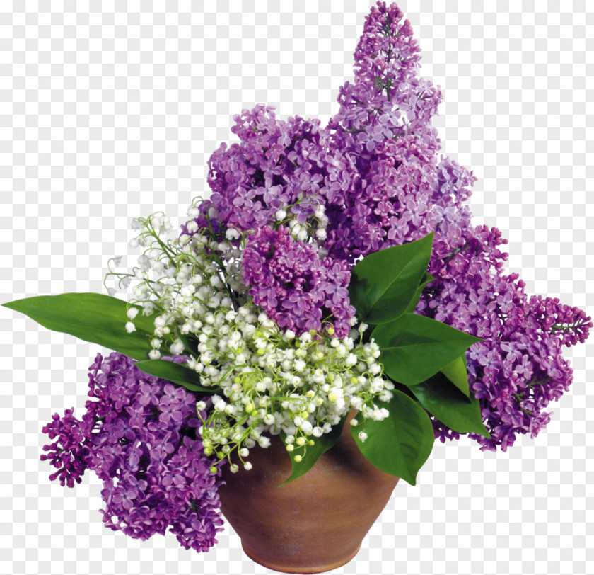 Lily Of The Valley Lilac Flower Desktop Wallpaper Floral Design PNG