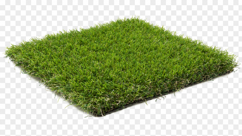 Lush Grass Lawn Artificial Turf Terrace Garden Carpet PNG