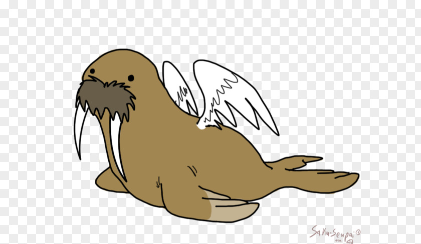 Walrus Sea Lion Drawing Clip Art PNG