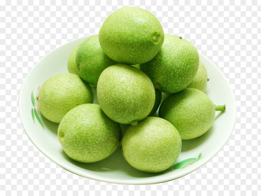 A Winding Walnut Green English Fruit PNG