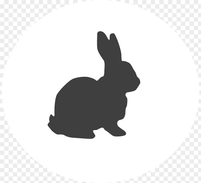 Animal Figure Blackandwhite Easter Bunny Background PNG