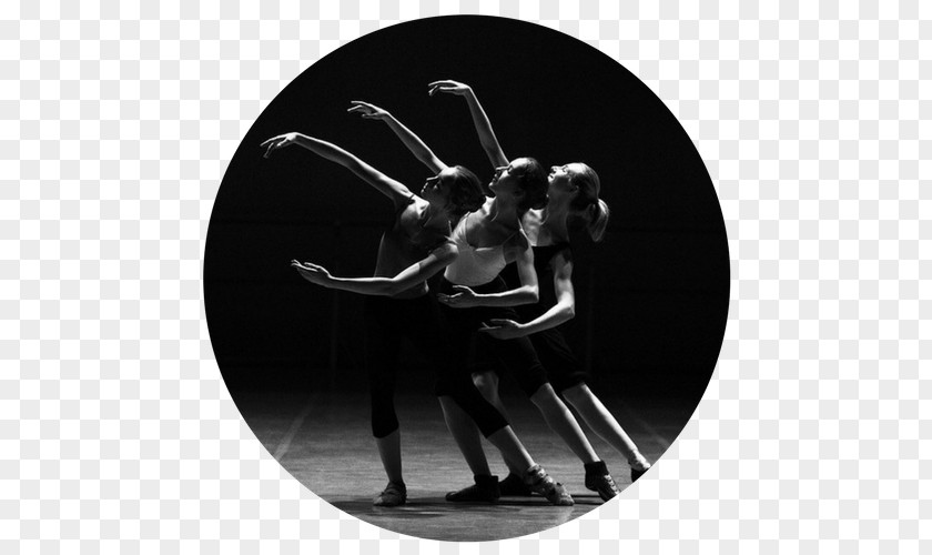 FLOW Espacio Vivo Dance Ballet Performing Arts PNG