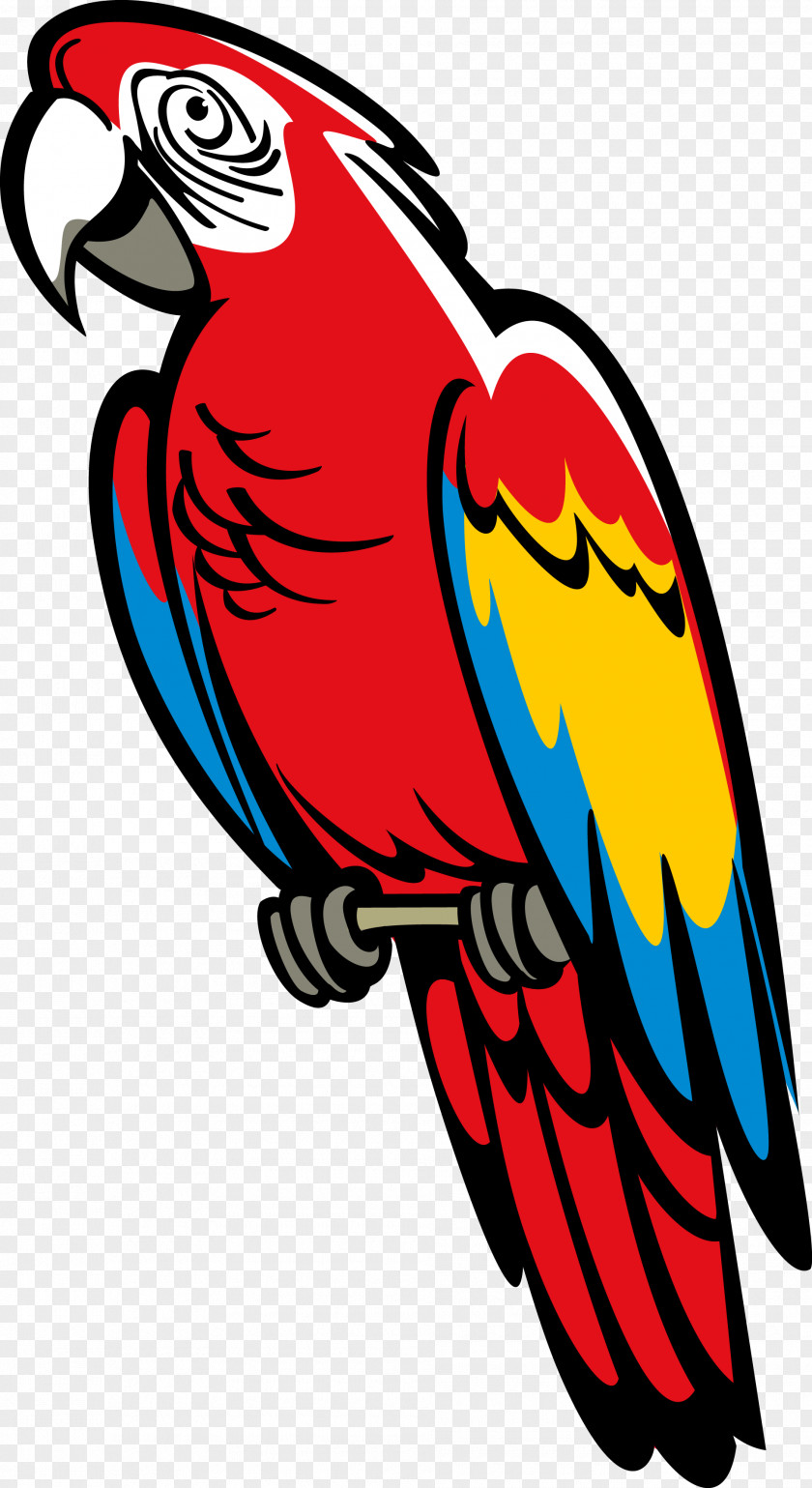 Parrot Heraldry Bird Coat Of Arms Macaw PNG