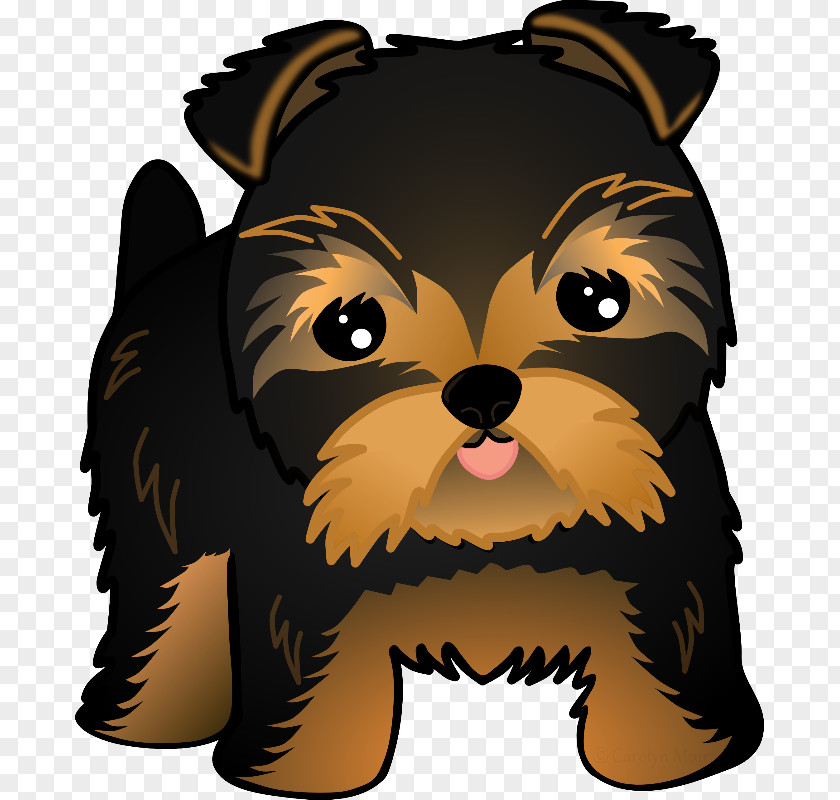 Puppy Yorkshire Terrier Dog Breed Shih Tzu Pomeranian PNG