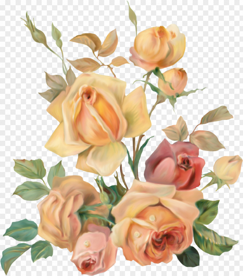 Rose Leslie Garden Roses Flower The Of Heliogabalus PNG
